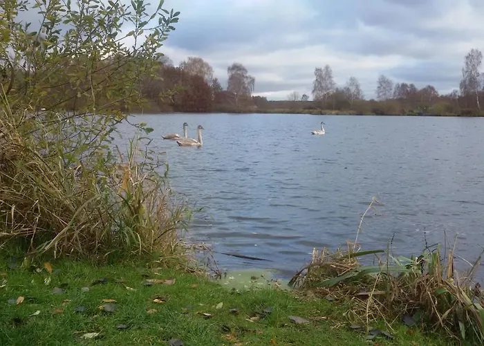 Am Wald 아파트 Witzeeze